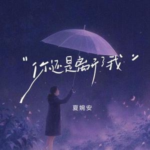 你还是离开了我（DJ版）