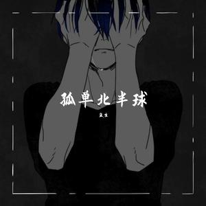 孤单北半球