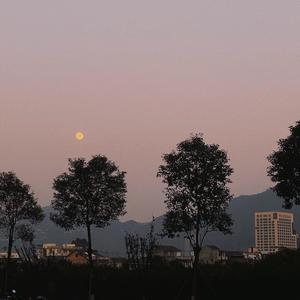 夢籠（Sunburst）