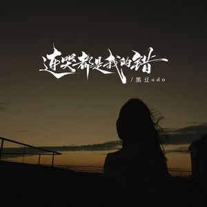 连哭都是我的错（DJ京仔版）