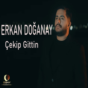 Çekip Gittin