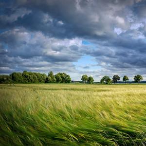 Ήχοι ανέμου