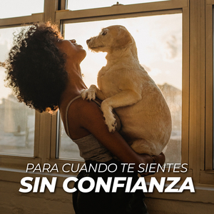 Confident (Single Version)