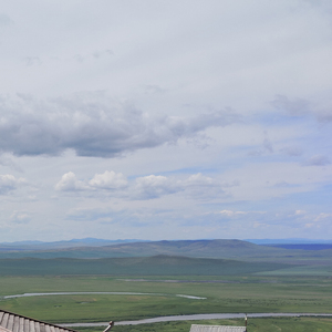 人人都说黄莲苦