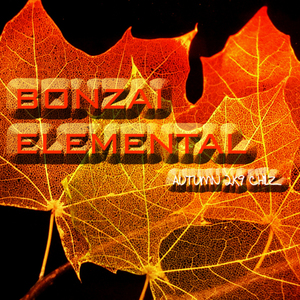 Woman's Allure (Original Mix)