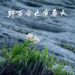 野百合也有春天