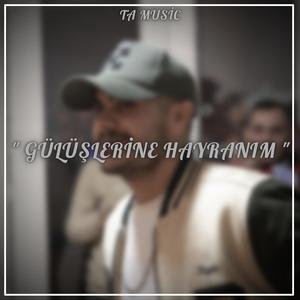 Gülüşlerine Hayranım (Remix)