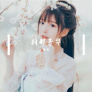 刹那芳华改版
