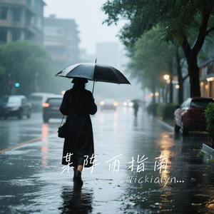 某阵雨指南