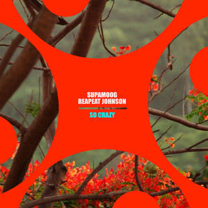So Crazy (Instrumental Mix)