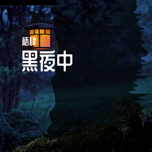 黑夜中