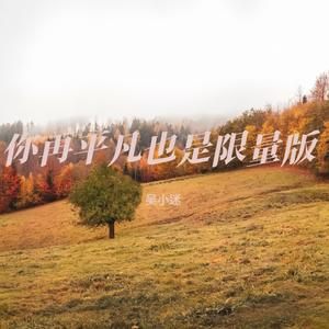 你再平凡也是限量版