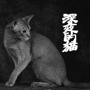 深夜的猫