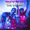 Pulse Of The Beat - Always Wonder