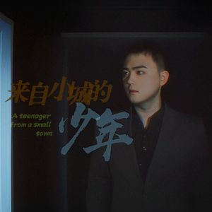 来自小城的少年