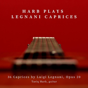 36 Caprices, Op. 20: No. 2 in E Minor