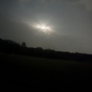 in the stars (feat. MonZiOh)