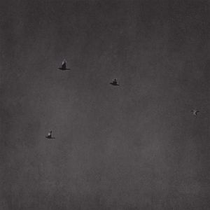 浮生{Prod by YKFireVibes x Jaylin.N}