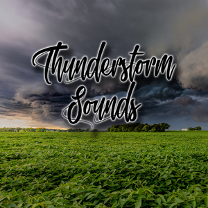 Thunder and Heavy Rain