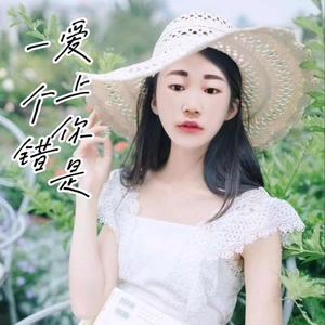 爱上你是一个错-豆包版（翻自杨培安）