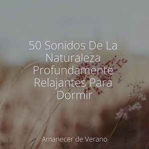 Armonías del Alma en la Corriente Subyacente