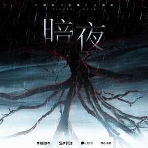 暗夜（《皮囊》广播剧第二季主题曲 cover：Mario）