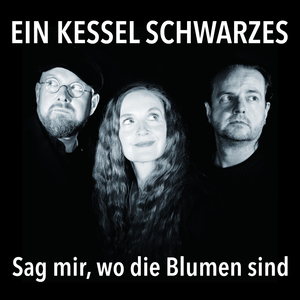 Sag mir wo die Blumen sind