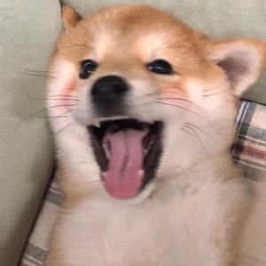 输入法打可爱按第五