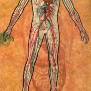 无法明辨的无知