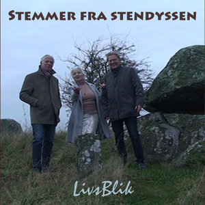 Ældre hjemmeplejen