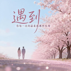 遇到（你每一次的温柔我都想炫耀）