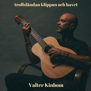 Trollsländan, klippan och havet
