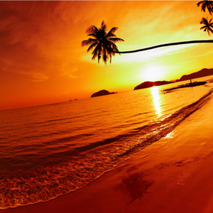 HOLY!DAY!（神圣日）