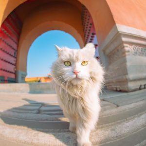 将星空献给你