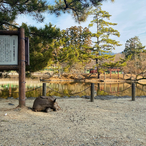 まじで、さよならベィベィ cover