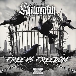 FreeVsFreedom