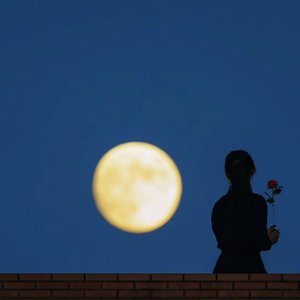 注解