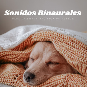 Canino Hidratante