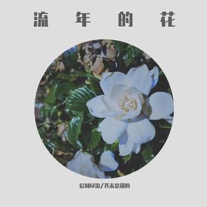 流年的花(层林尽染&芥末是甜的)