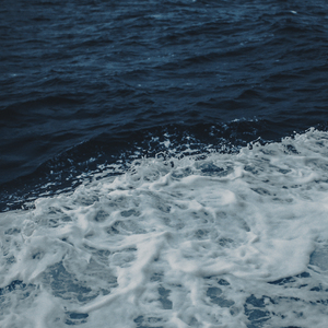 The north sea