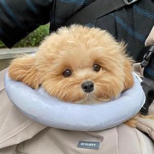 叽叽喳喳