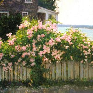 Les parapluies de cherbourg