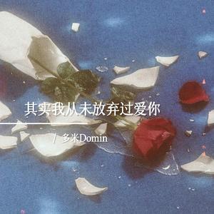 其实我从未放弃过爱你（0.8X）