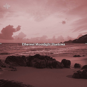 White Noise On An Airplane