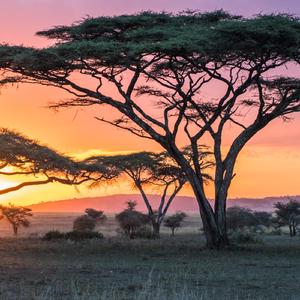 Shekere (feat. Mpokfel)