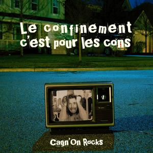 Le confinement c'est pour les cons