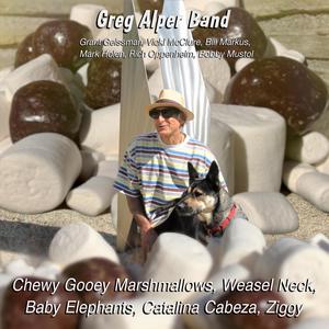Baby Elephants (feat. Mark Holen, Rich Oppenheim & Alberto Bengolea)