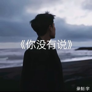 你没有说