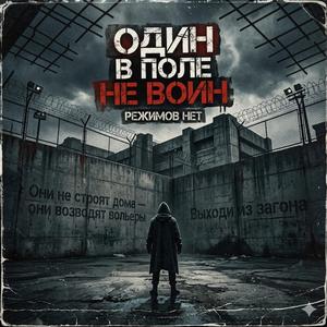 Не стадо