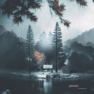 Plivish